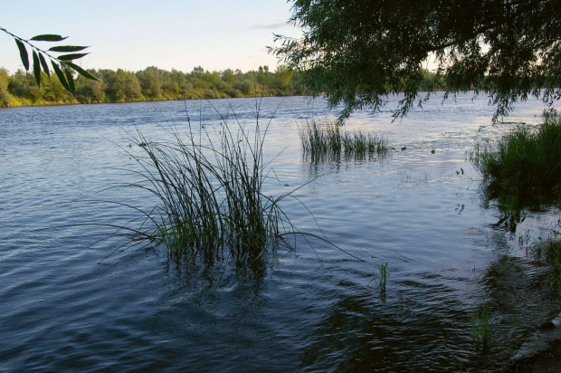 Piękno polskich rzek.Narew, Wkra