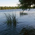 Piękno polskich rzek.Narew, Wkra