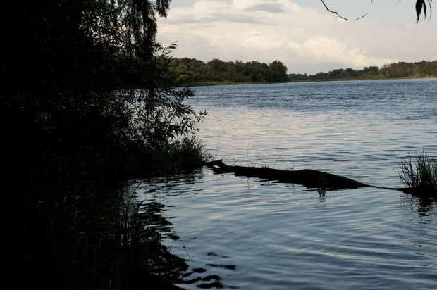 Piękno polskich rzek.Narew, Wkra