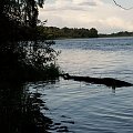 Piękno polskich rzek.Narew, Wkra