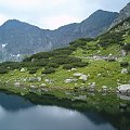 Widok na Pośredni Staw Rohacki #Tatry