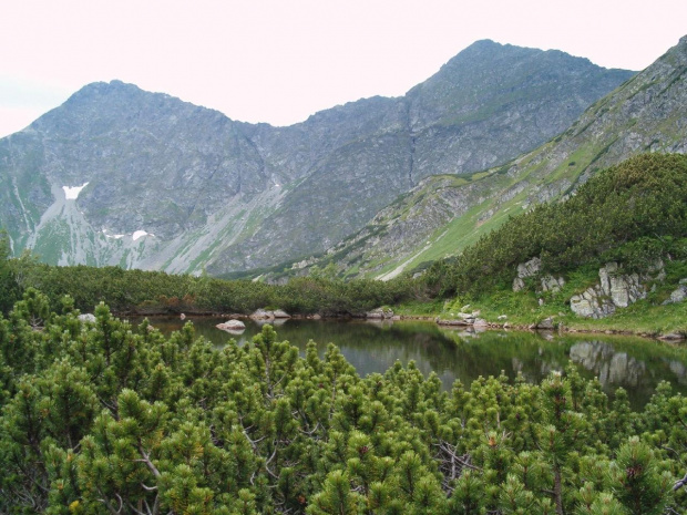 Rohacze #Tatry #góry