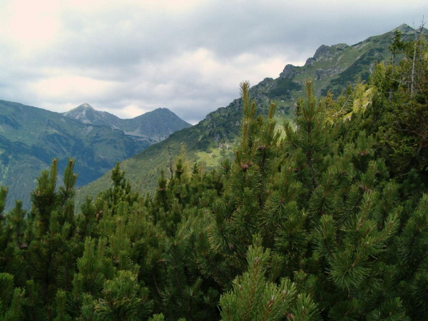 początek grani Otargańców #Tatry