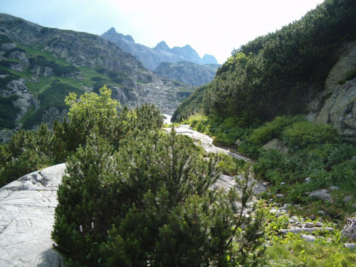 Dol. Staroleśna #Tatry