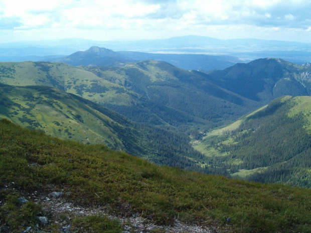 Dol. Jarząbcza #Tatry