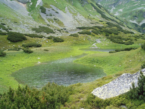 w Dol. Raczkowej #Tatry