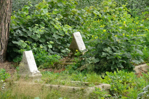 Cmentarz w Maldaninie #MazurskieCmentarze #CmentarzWMaldaninie #Maldanin #Mazury #Remes #Rower