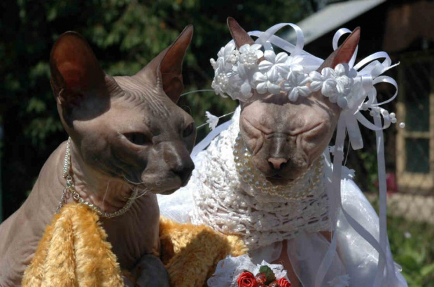 Wedding 1
Slovakia, 2007