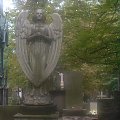 Anioł czuwający nad cmentarzem