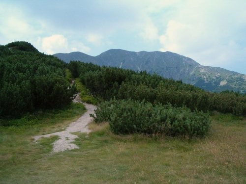 Salatyński Wierch #Tatry