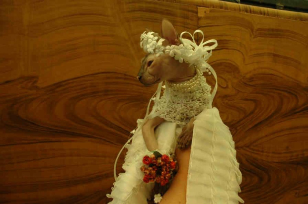 Bride (Panna Mloda)