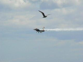 #AirshowSunderland