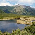 Stręgacznik #Tatry