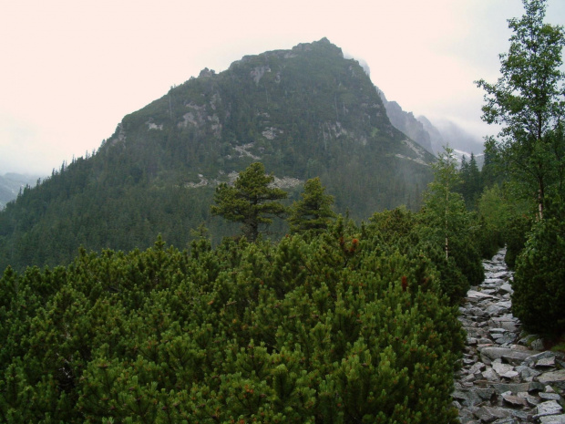 na Magistrali w kierunku Schroniska Zamkovskiego #Tatry