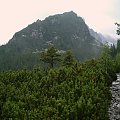 na Magistrali w kierunku Schroniska Zamkovskiego #Tatry