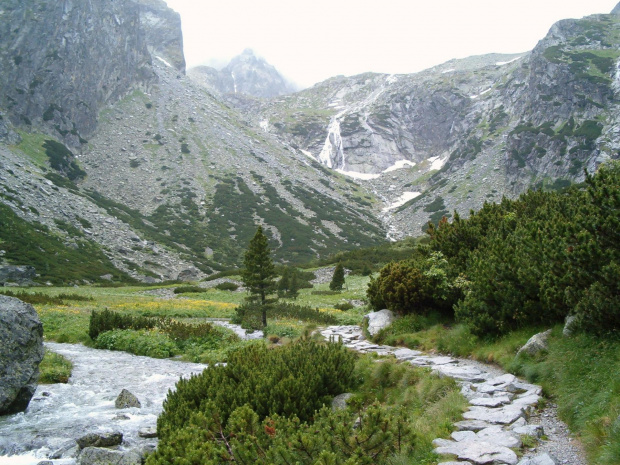 Łomnicki Ogród #Tatry