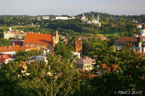 Panorama Wilna z Góry Zamkowej. Czerwone dachówki kościoła św. Franciszka #Wilno
