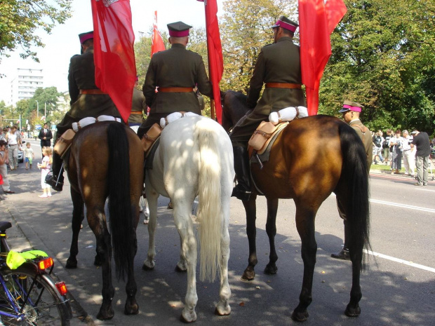 Kawalerzyści też oczywiście brali udział w Defiladzie, konie tyły też miały piękne.