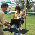 23.VI.2007 #WystawyPsów