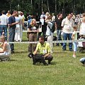 23.VI.2007 #WystawyPsów