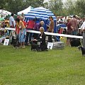 23.VI.2007 #WystawyPsów