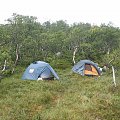 Obóz na mchu i jagodach #Norwegia