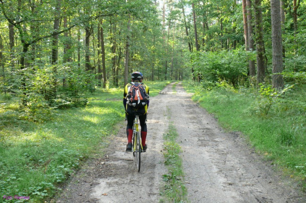 Puszcza Piska #PuszczaPiska #Pisz #Mazury #Breyt #Remes