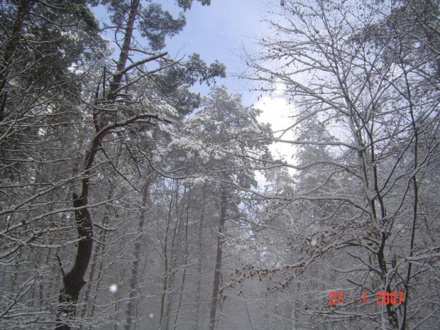 Zima 2006.