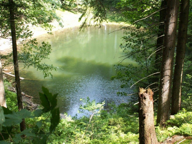 Jeziorko po drodze na Markowe Szczawiny :) #jezioro