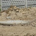 studnia już działa