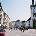 Wystawa kotów Olomouc