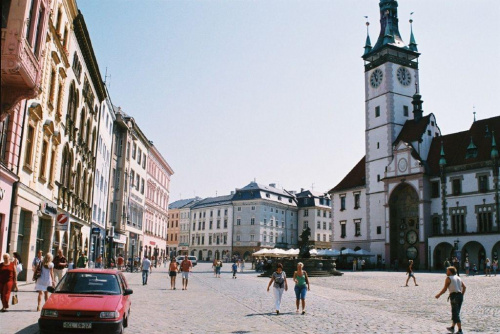 Wystawa kotów Olomouc