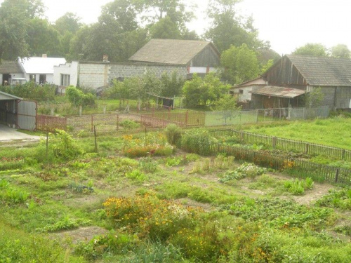 Ogród na wsi #ogród #rośliny #warzywa