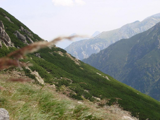 jakaś trawa mi się wkradła do ujęcia :P #góry #Tatry