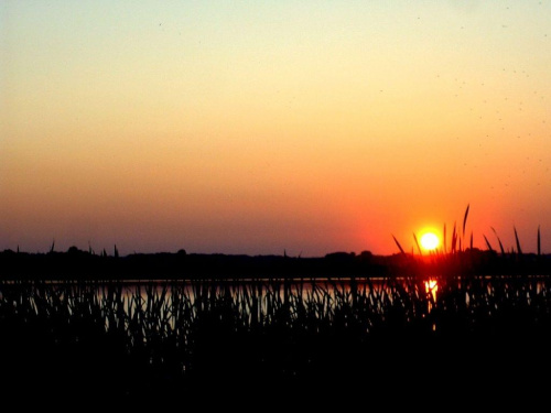 #łabędzie #zachód #słońce #jezioro