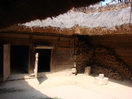 #Lublin #skansen #MuzeumWsiLubelskiej #ŚwiętoChleba #tradycja #historia #region #obyczaj #kultura #sławinek #natura #zieleń #ludowo #chleb #święto #ludzie #niedziela #plener