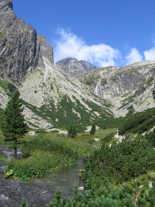 Dolina Małej Zimnej Wody. #Góry #Tatry