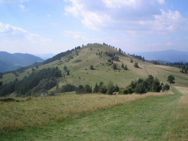 Wysoki Wierch #góry #pieniny