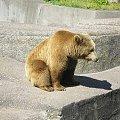 Co mi Panie dasz-w ten trudny czas?