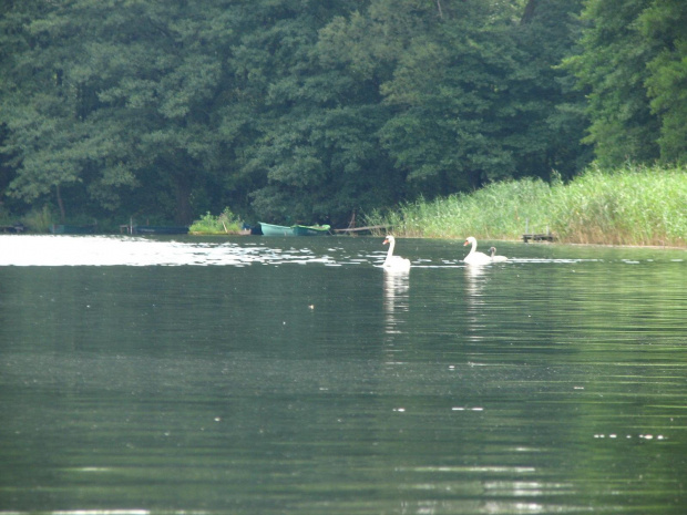 borne sulinowo 15-19.08.2007