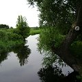 Biebrzański Park Narodowy Lipiec 2oo7