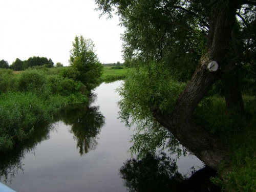 Biebrzański Park Narodowy Lipiec 2oo7