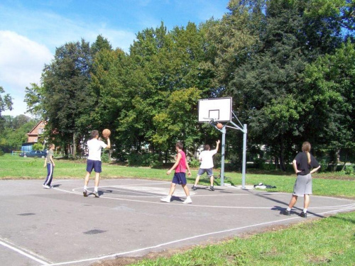 triobasket