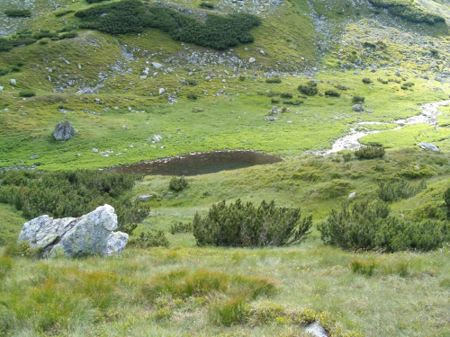 w Dolinie Raczkowej #Tatry #góry