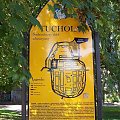 #Tuchola