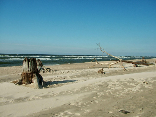 Plaża w okolicach Łeby