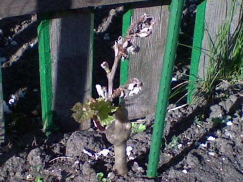 Przemarznięte Rondo z 29.04.07