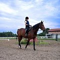 Ty też możesz się u nas uczyć jazdy konnej. #koń #kuce #Ranczo #Palermo #Kopki #Wiązowna #jazda #konna #konie #Warszawa #pensjonat #koni #obozy #obóz #jeździeckie #konkurs