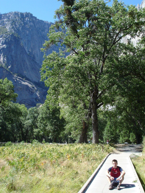 na pięknej łące czy polanie w Parku Yosemite