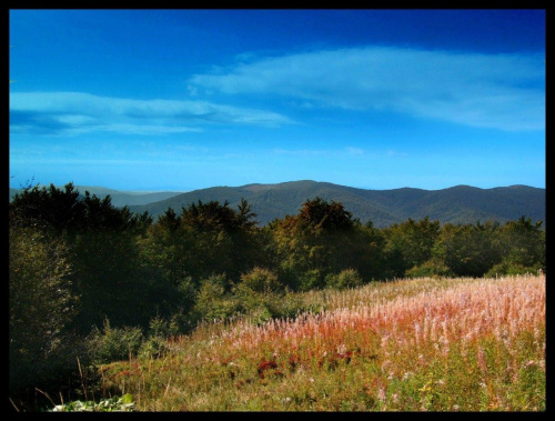 Fuji 6500df + Hoya UV HMC + Fox CPL + szara połówka + 15minut zabawy z fotoszopem... a może po prostu Bieszczady...